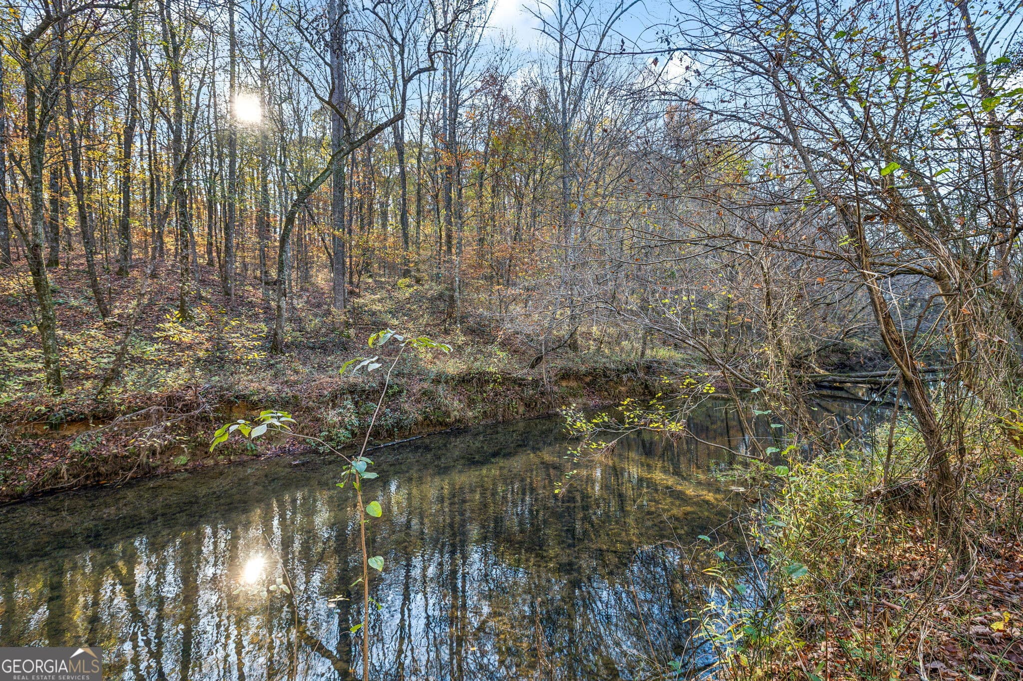 agriculture for sale at 1 Josh Ward Road, Summerville, GA 30747 — photo 5