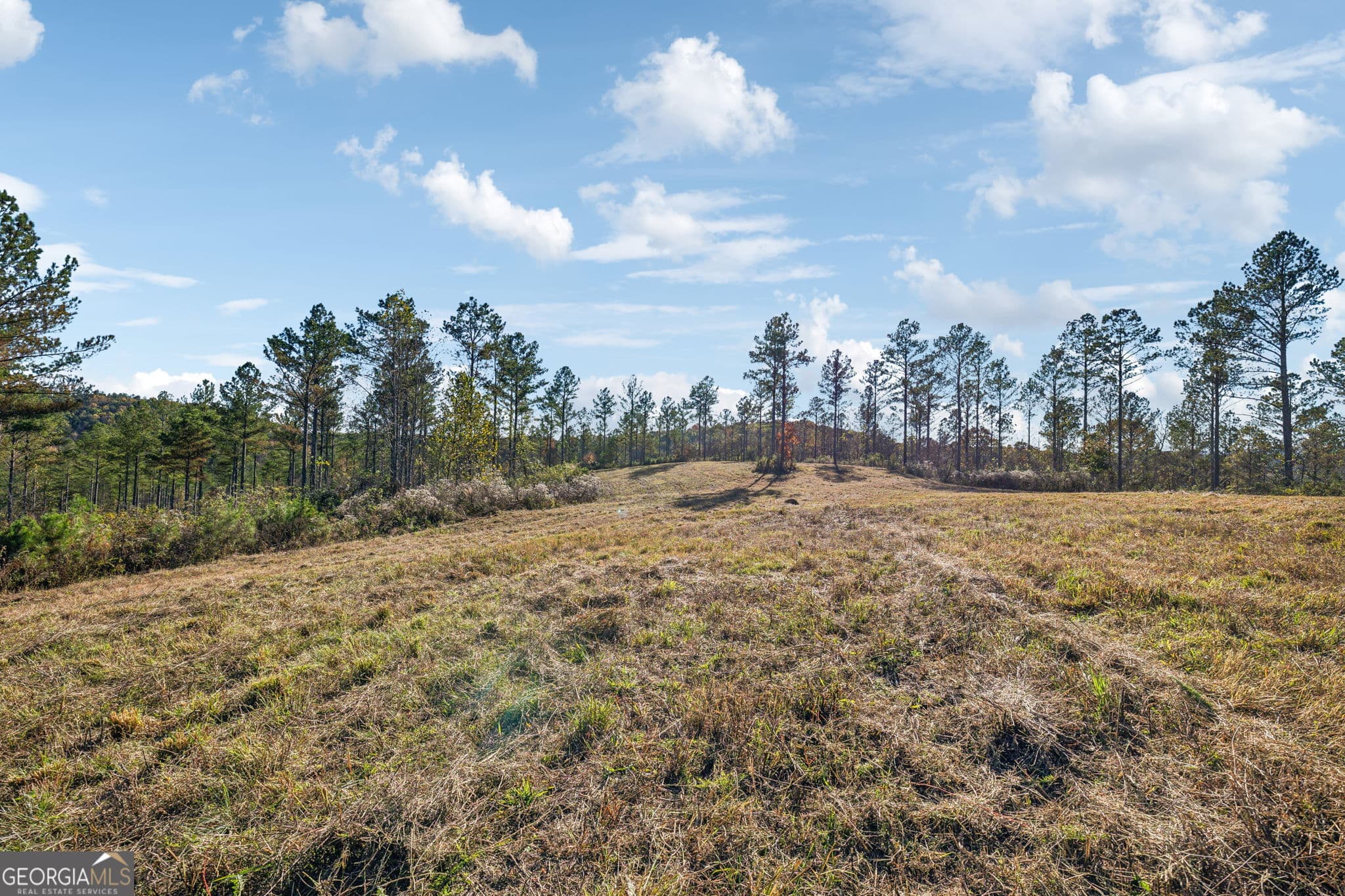 agriculture for sale at 1 Josh Ward Road, Summerville, GA 30747 — photo 9