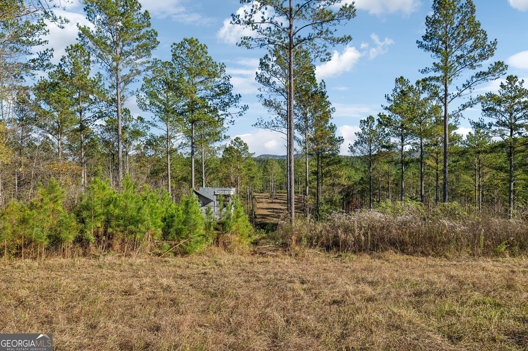 agriculture for sale at 1 Josh Ward Road, Summerville, GA 30747 — photo 10
