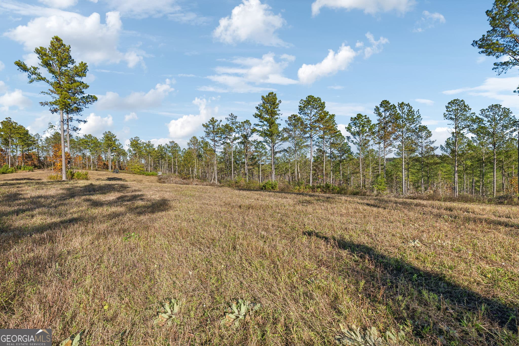 agriculture for sale at 1 Josh Ward Road, Summerville, GA 30747 — photo 8