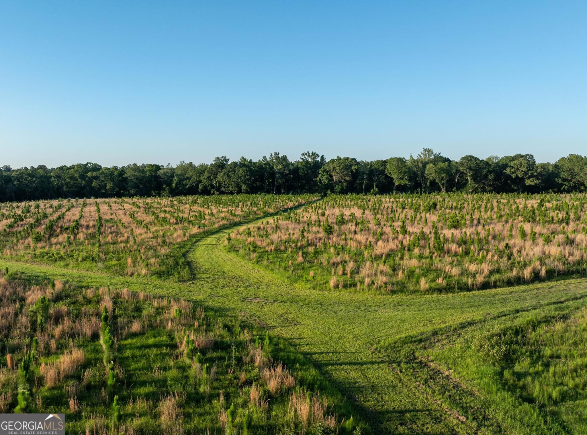 agriculture for sale at 300 Beulah Road, Sylvania, GA 30467 — photo 2