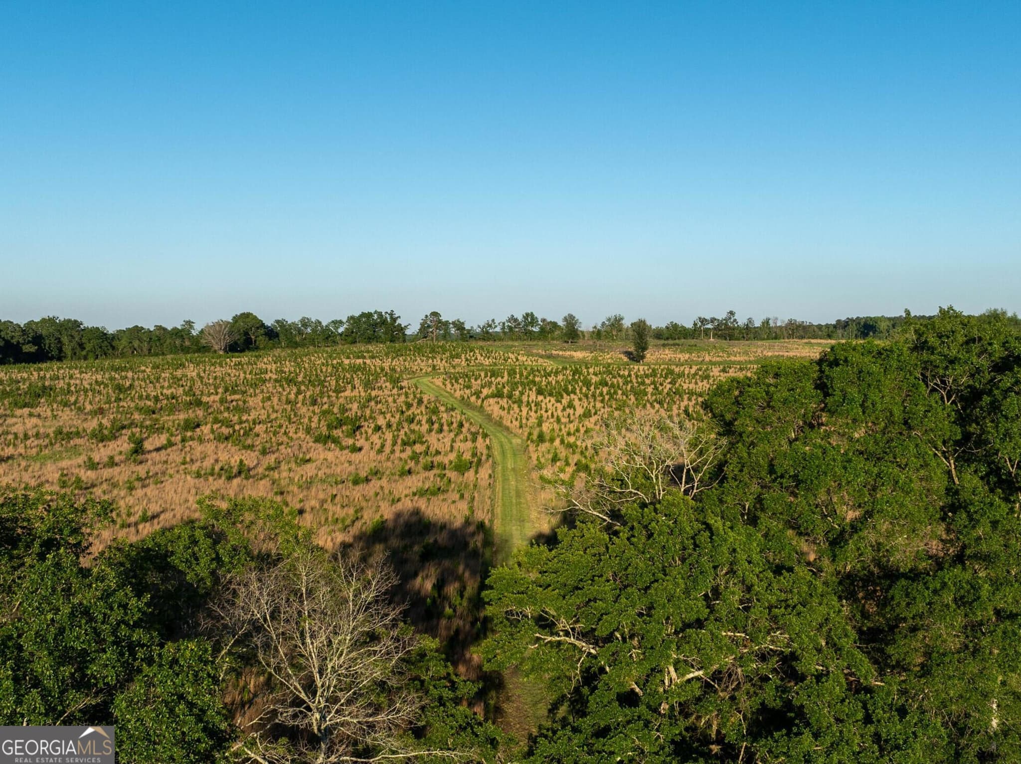 agriculture for sale at 300 Beulah Road, Sylvania, GA 30467 — photo 7