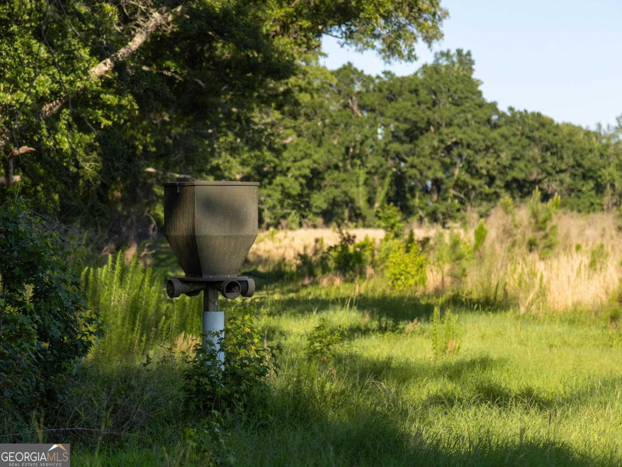 agriculture for sale at 300 Beulah Road, Sylvania, GA 30467 — photo 5
