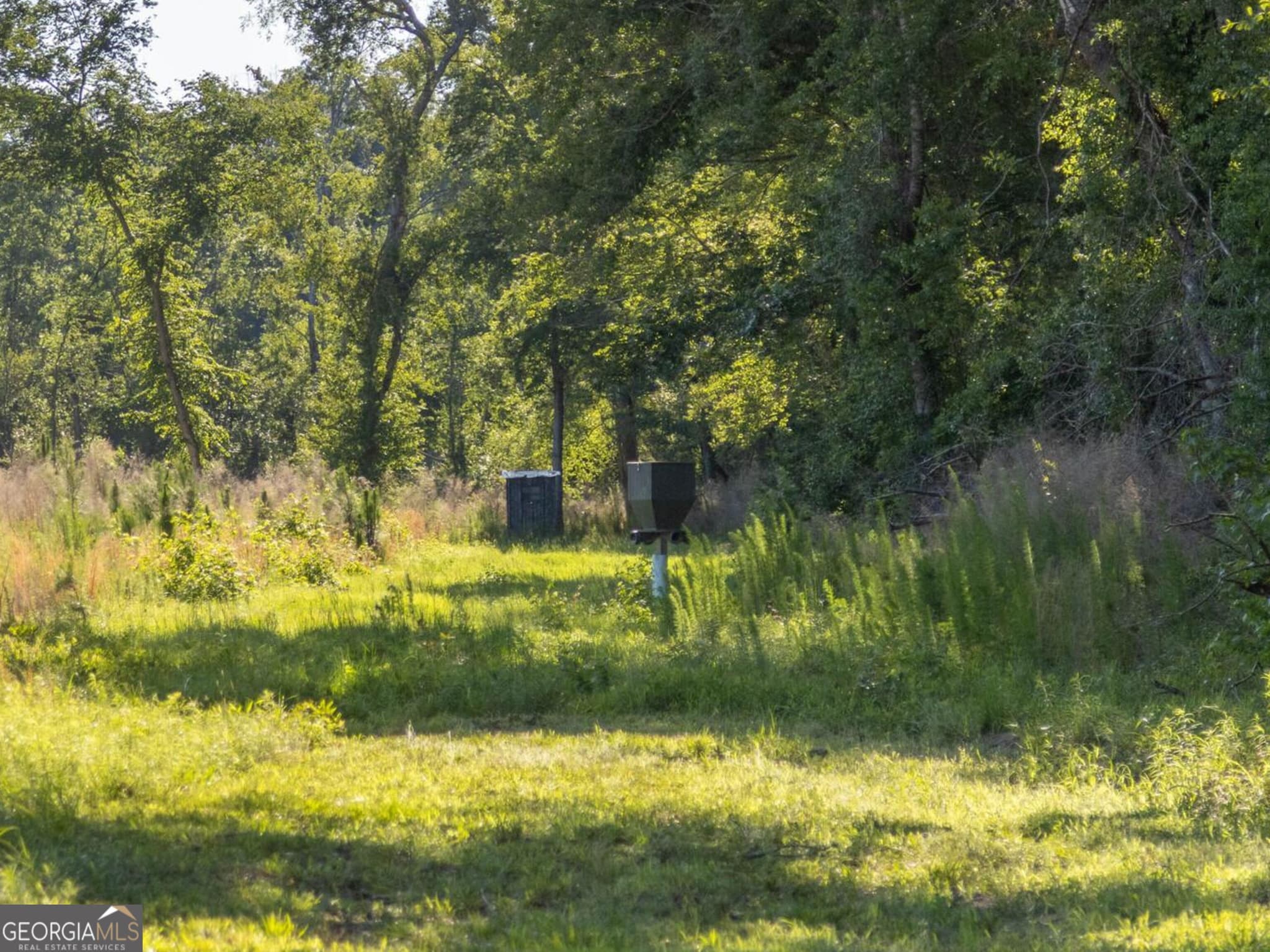 agriculture for sale at 300 Beulah Road, Sylvania, GA 30467 — photo 10