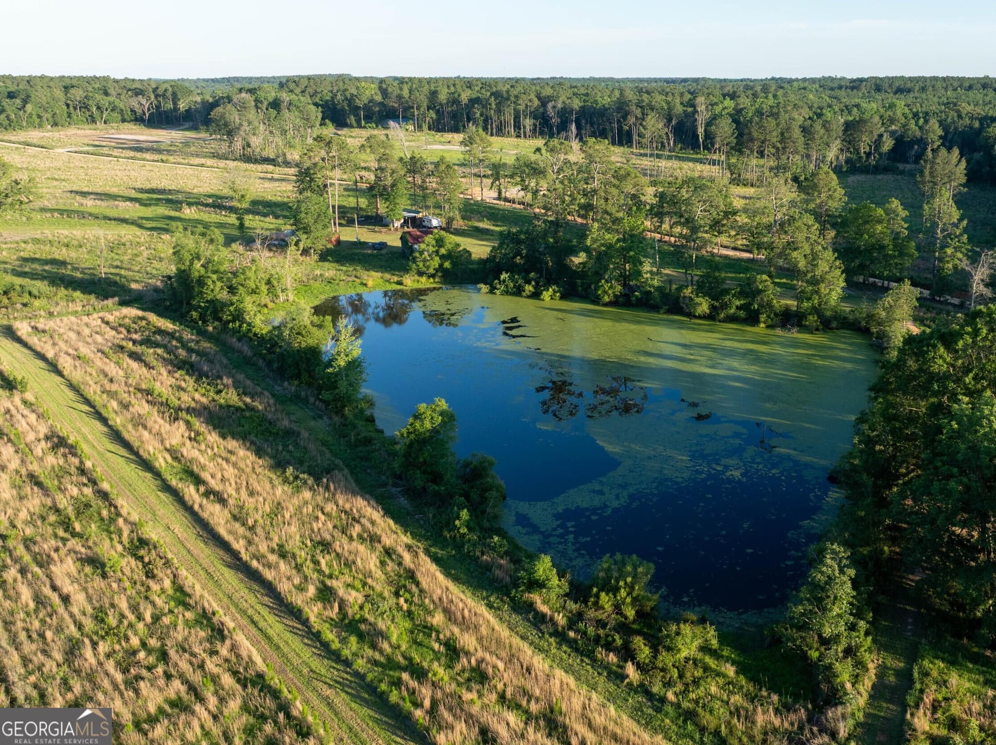 agriculture for sale at 300 Beulah Road, Sylvania, GA 30467 — photo 4