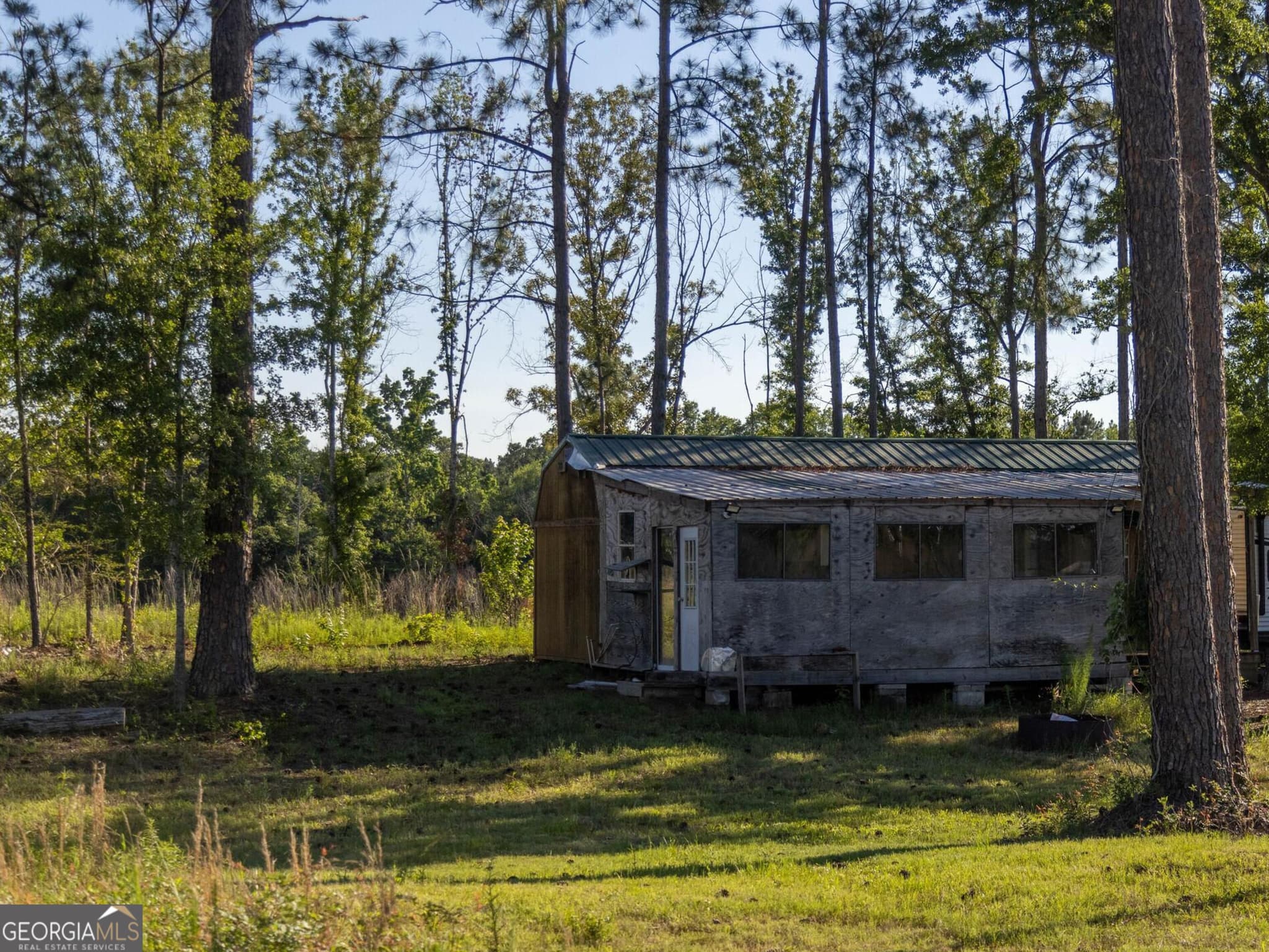 agriculture for sale at 300 Beulah Road, Sylvania, GA 30467 — photo 8