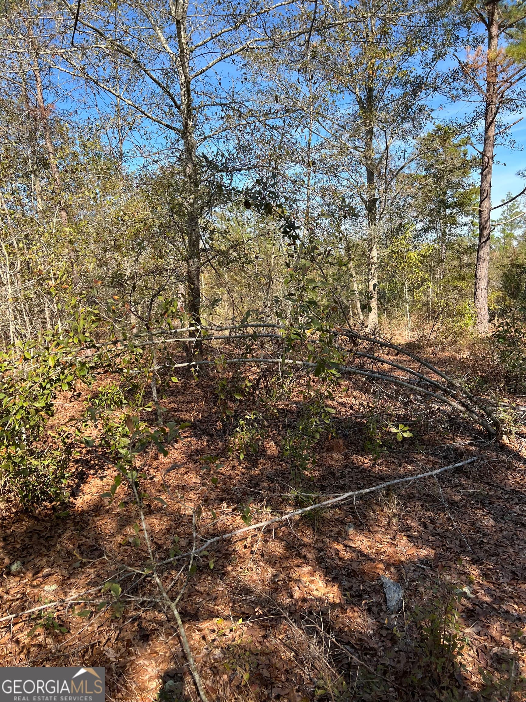 unimproved land for sale at 1432 Rozar Gooslby Road, Eastman, GA 31023 — photo 2