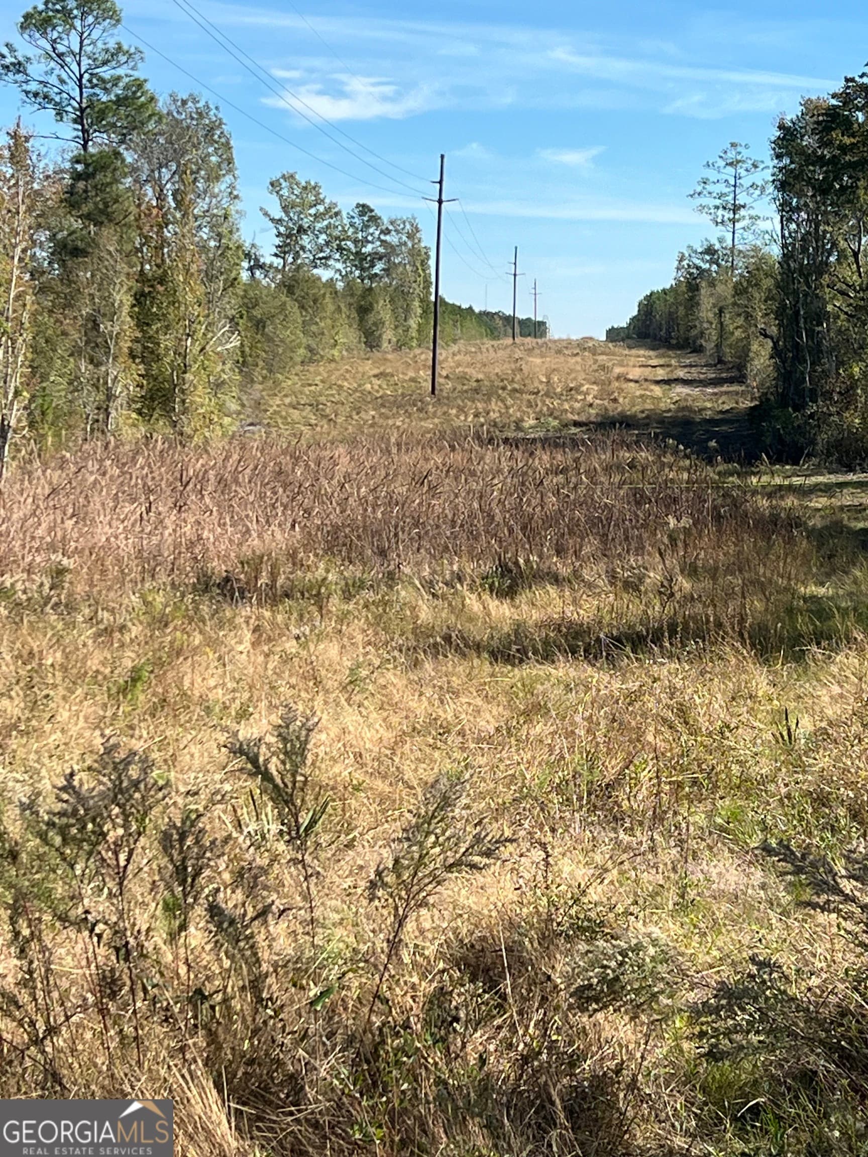 unimproved land for sale at 1432 Rozar Gooslby Road, Eastman, GA 31023 — photo 6