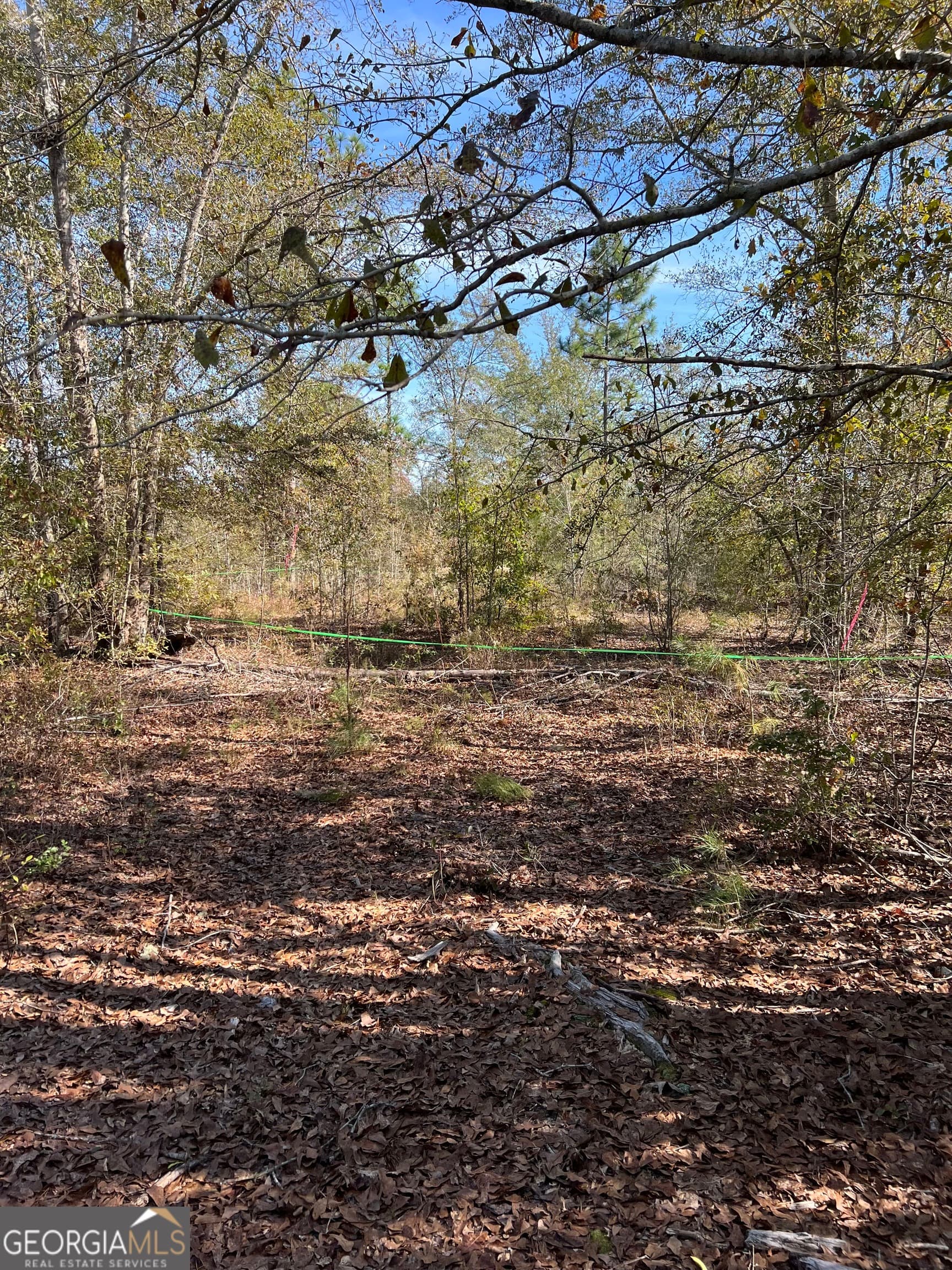 unimproved land for sale at 1432 Rozar Gooslby Road, Eastman, GA 31023 — photo 3