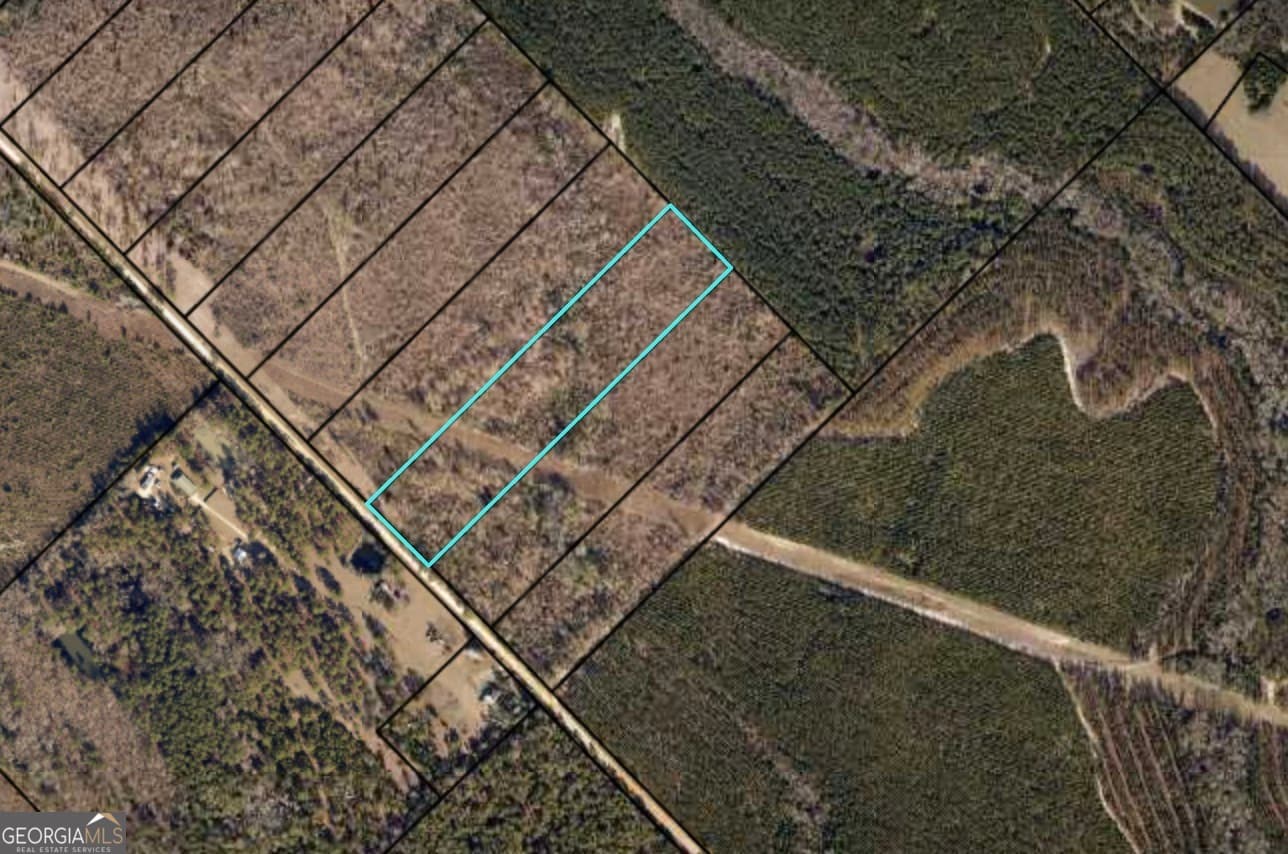 unimproved land for sale at 1432 Rozar Gooslby Road, Eastman, GA 31023 — photo 1 of 6