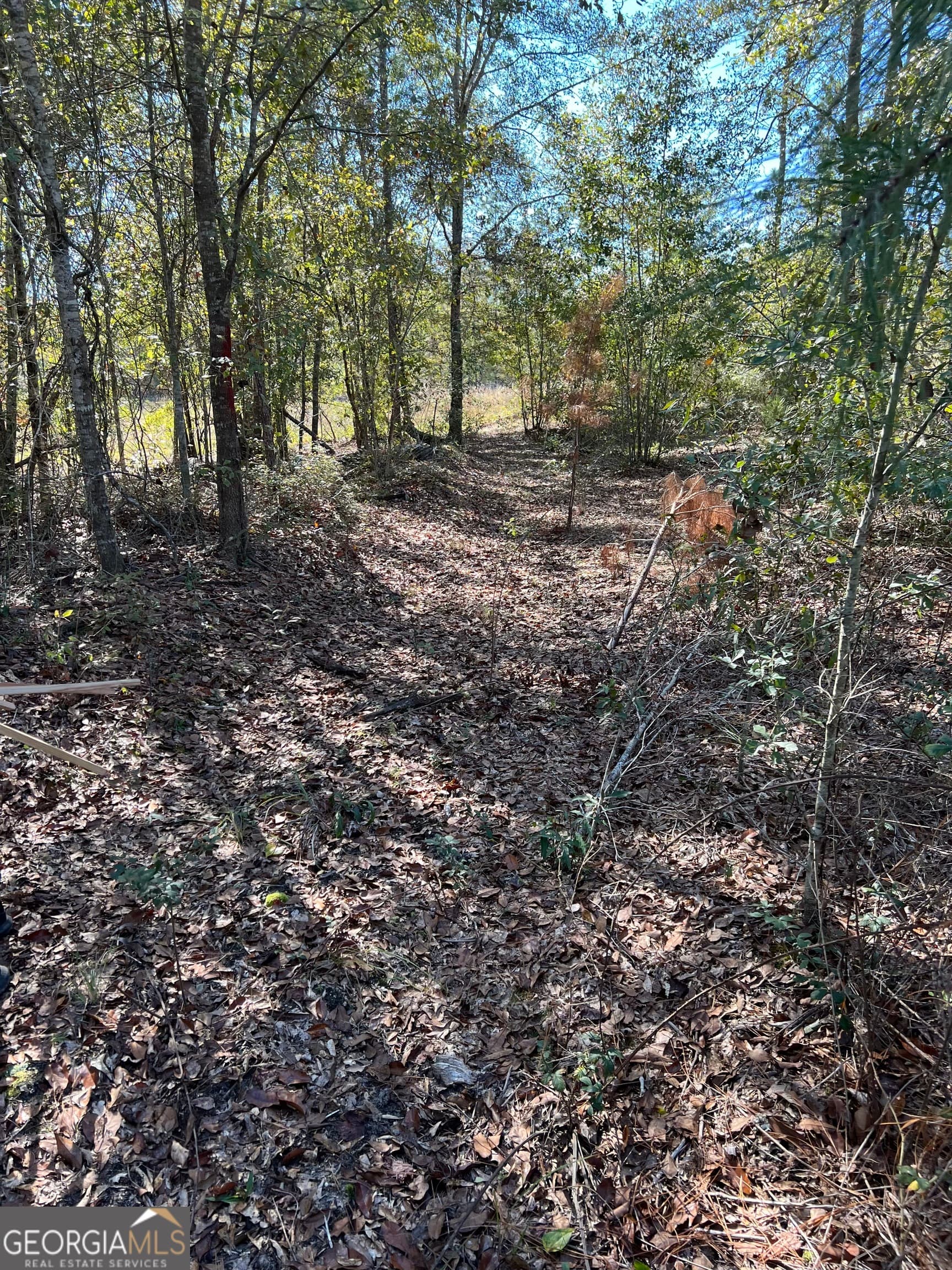 unimproved land for sale at 1432 Rozar Gooslby Road, Eastman, GA 31023 — photo 5