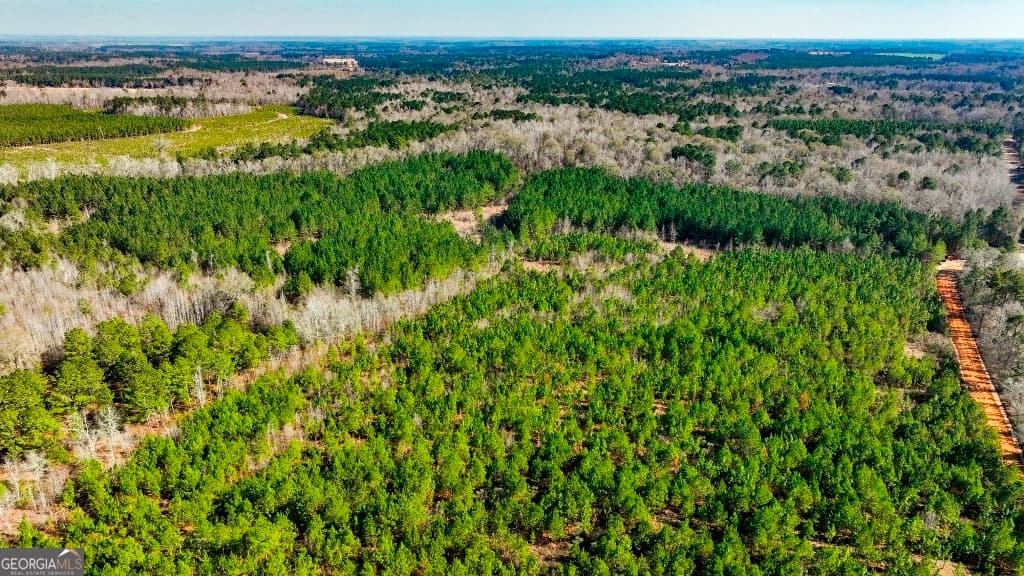 residential lot for sale at 0 Crooked Road, Millen, GA 30442 — photo 2