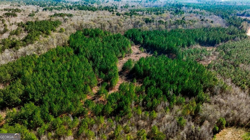 residential lot for sale at 0 Crooked Road, Millen, GA 30442 — photo 3