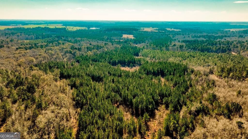 residential lot for sale at 0 Crooked Road, Millen, GA 30442