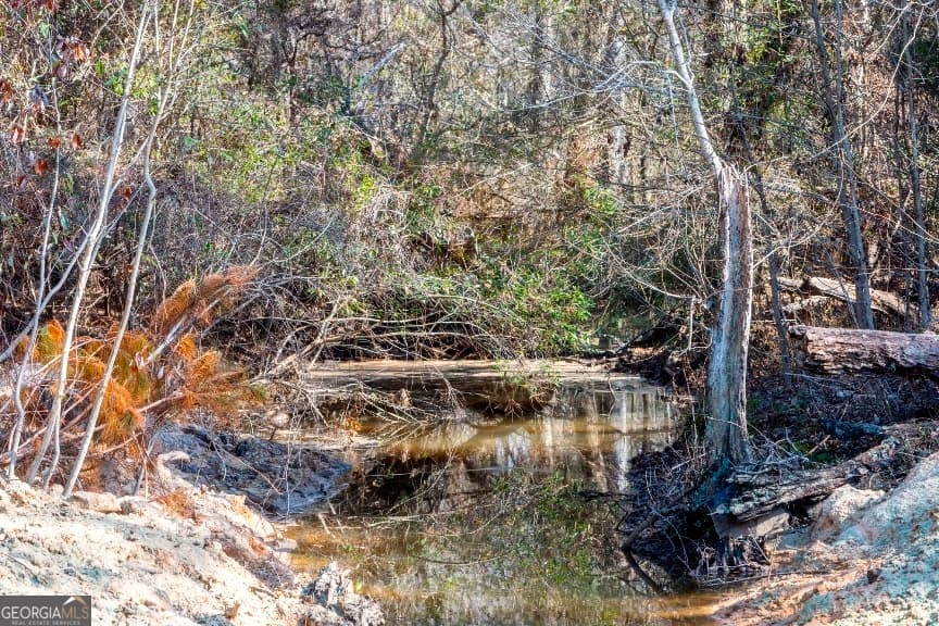 residential lot for sale at 0 Crooked Road, Millen, GA 30442 — photo 10