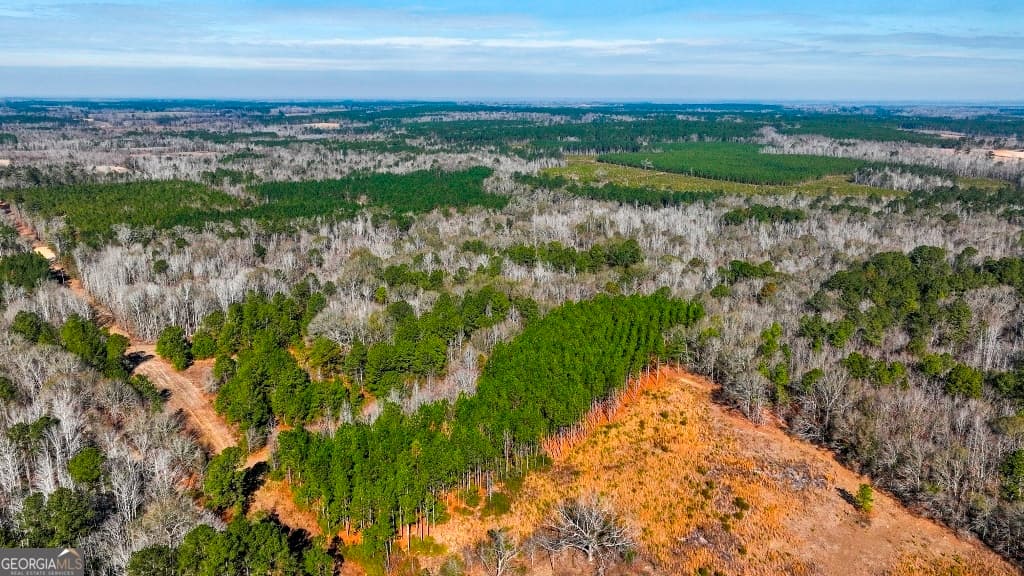 residential lot for sale at 0 Crooked Road, Millen, GA 30442 — photo 4