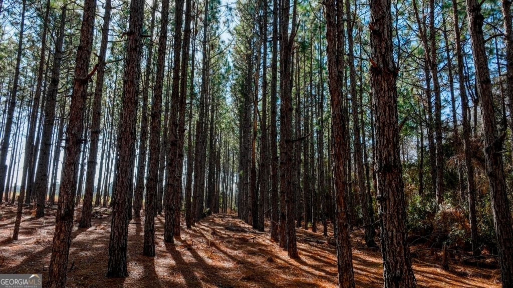residential lot for sale at 0 Crooked Road, Millen, GA 30442 — photo 8