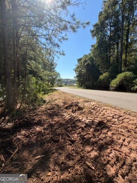 estate lot for sale at 2466 Flatbottom Rd, Ball Ground, GA 30107 — photo 6