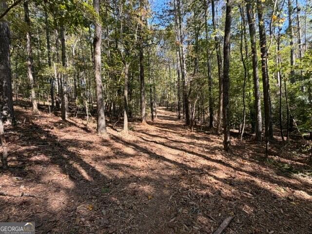 estate lot for sale at 2466 Flatbottom Rd, Ball Ground, GA 30107 — photo 7