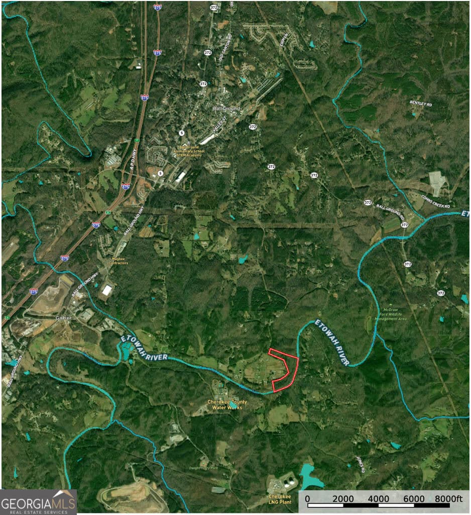 estate lot for sale at 2466 Flatbottom Rd, Ball Ground, GA 30107 — photo 3
