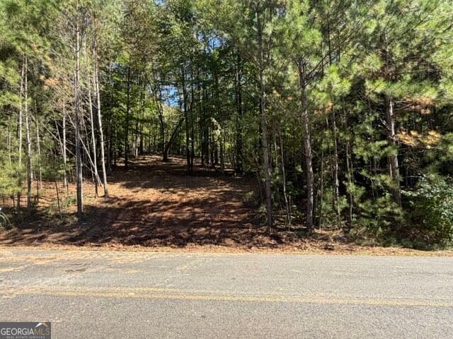 estate lot for sale at 2466 Flatbottom Rd, Ball Ground, GA 30107 — photo 5