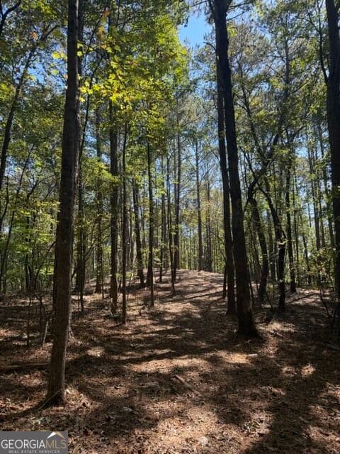 estate lot for sale at 2466 Flatbottom Rd, Ball Ground, GA 30107 — photo 9