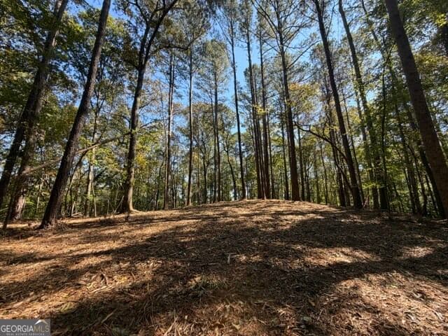 estate lot for sale at 2466 Flatbottom Rd, Ball Ground, GA 30107 — photo 10