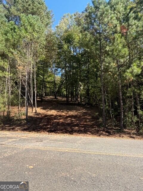 estate lot for sale at 2466 Flatbottom Rd, Ball Ground, GA 30107 — photo 4