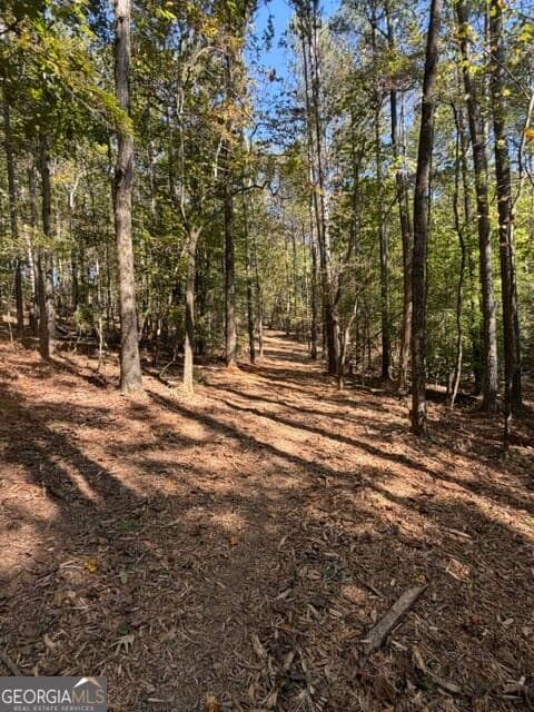 estate lot for sale at 2466 Flatbottom Rd, Ball Ground, GA 30107 — photo 8