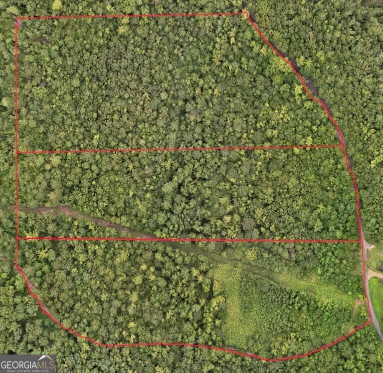 residential lot for sale at 0 Hopeful Road LOT 3, Munfurd, AL 36268 — photo 2