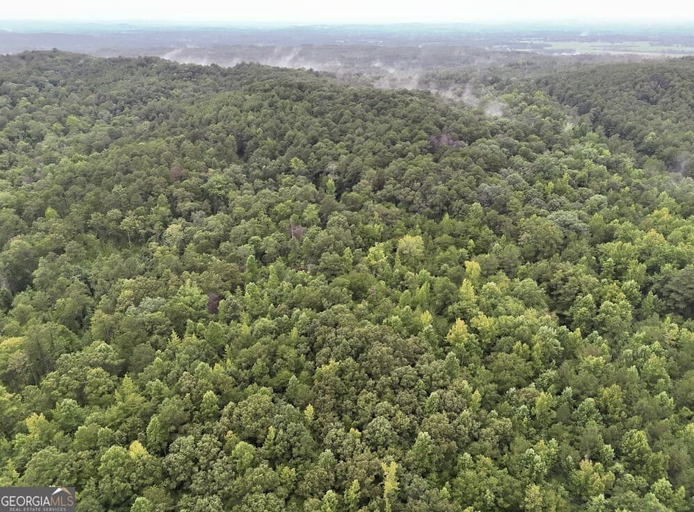 residential lot for sale at 0 Hopeful Road LOT 3, Munfurd, AL 36268 — photo 6