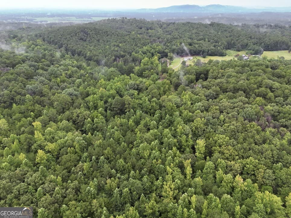 residential lot for sale at 0 Hopeful Road LOT 3, Munfurd, AL 36268 — photo 7