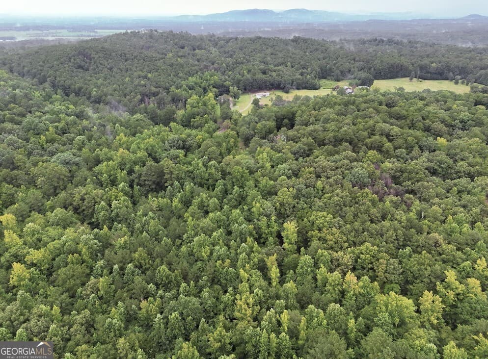 residential lot for sale at 0 Hopeful Road LOT 3, Munfurd, AL 36268 — photo 3