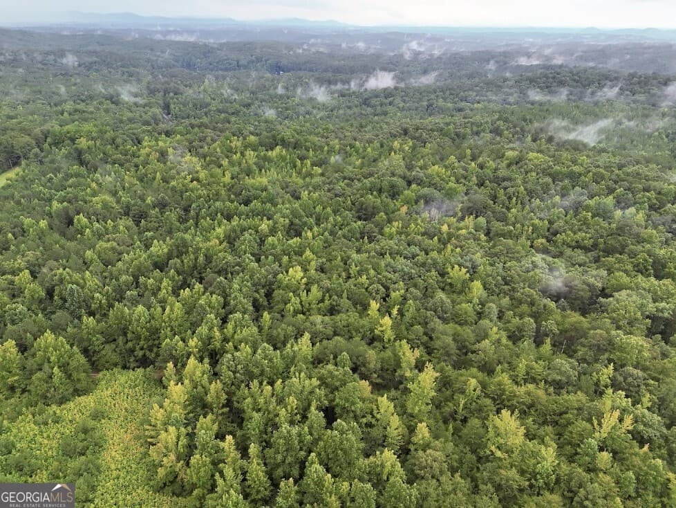 residential lot for sale at 0 Hopeful Road LOT 3, Munfurd, AL 36268 — photo 5