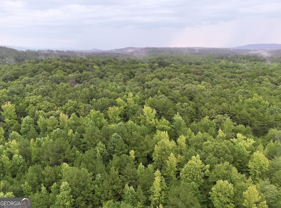residential lot for sale at 0 Hopeful Road LOT 3, Munfurd, AL 36268 — photo 9