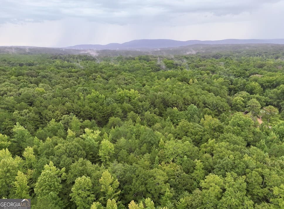 residential lot for sale at 0 Hopeful Road LOT 3, Munfurd, AL 36268 — photo 10