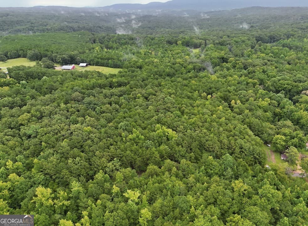 residential lot for sale at 0 Hopeful Road LOT 3, Munfurd, AL 36268 — photo 4