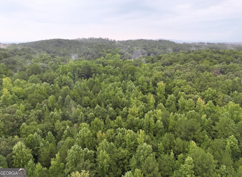 residential lot for sale at 0 Hopeful Road LOT 3, Munfurd, AL 36268 — photo 8