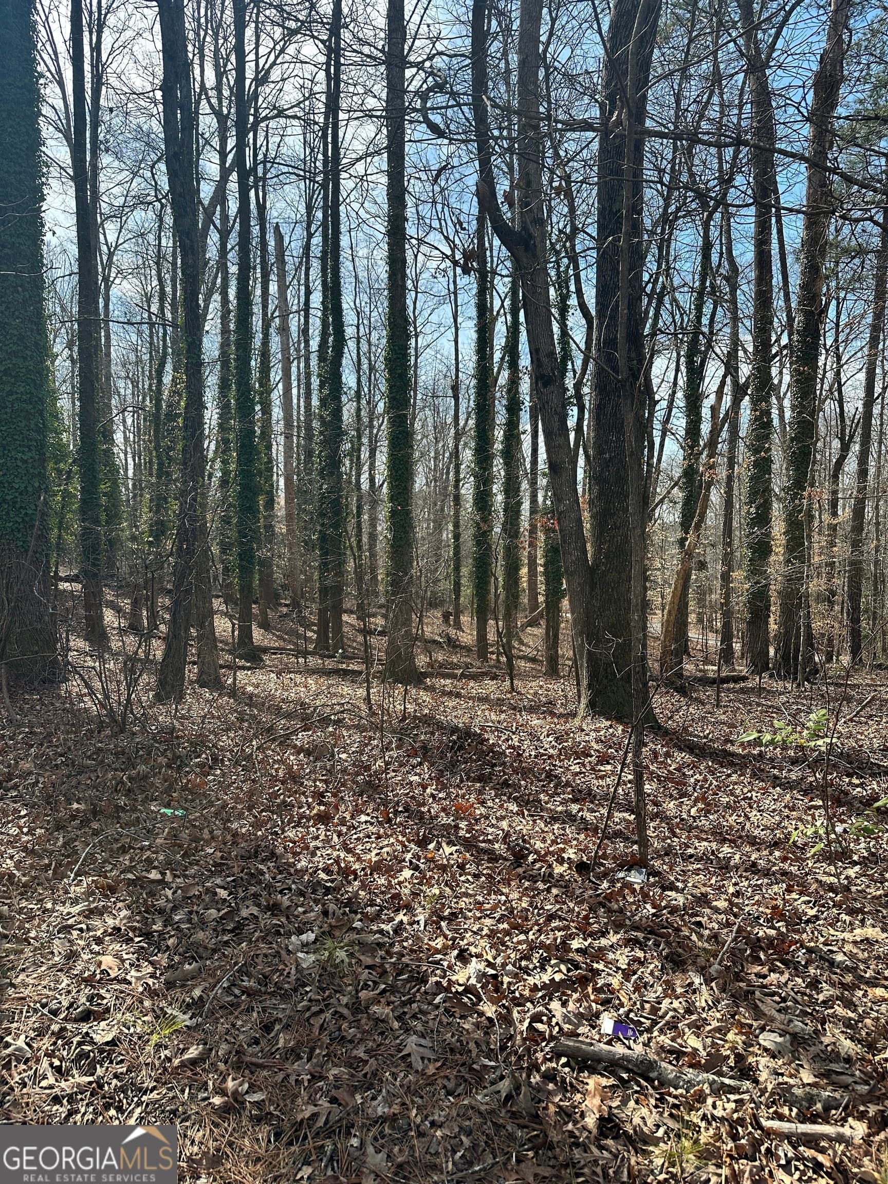 unimproved land for sale at 0 Fairburn Road, Atlanta, GA 30331 — photo 1 of 3