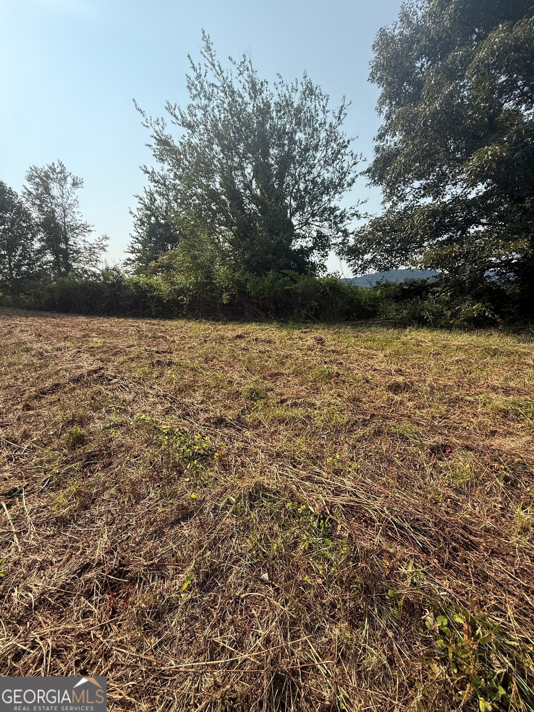 residential lot for sale at 0 Ridgemont Lane, Ellijay, GA 30536 — photo 2