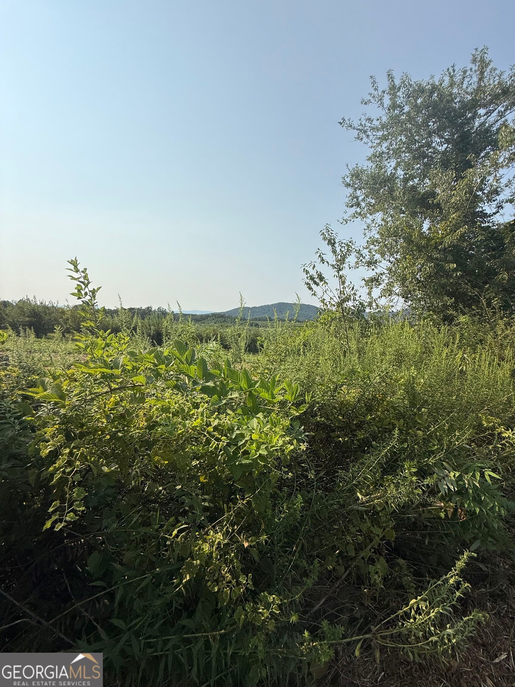 residential lot for sale at 0 Ridgemont Lane, Ellijay, GA 30536 — photo 3