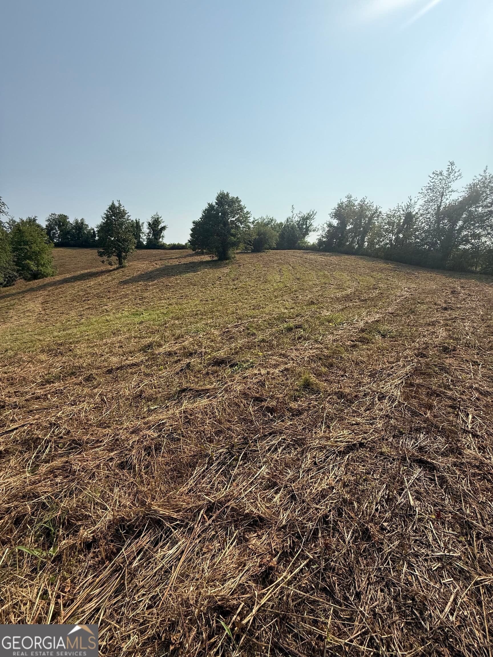 residential lot for sale at 0 Ridgemont Lane, Ellijay, GA 30536 — photo 1 of 3