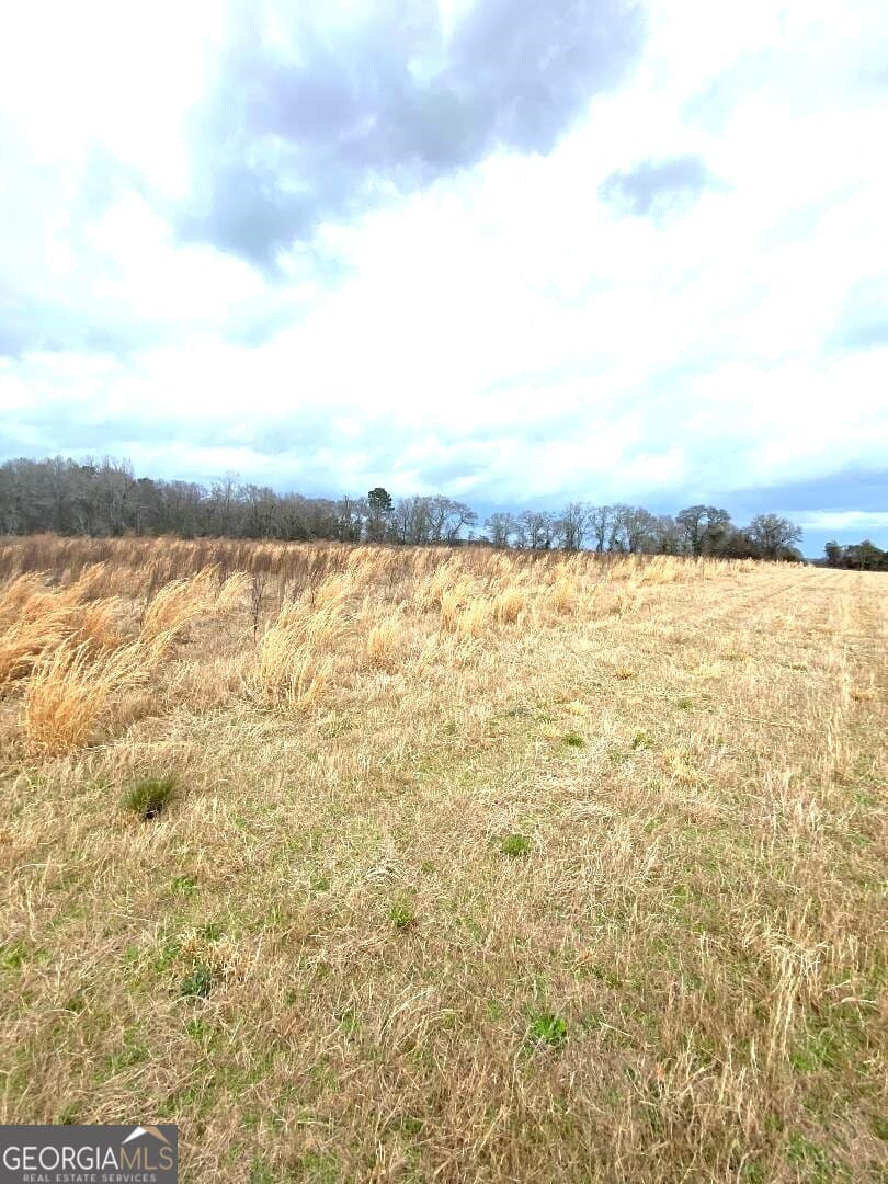 agriculture for sale at 0 Allen Ranch Road, Chester, GA 31012 — photo 2