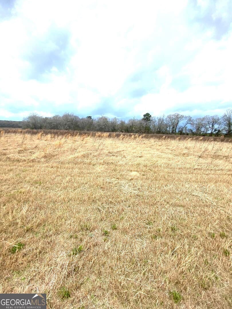 agriculture for sale at 0 Allen Ranch Road, Chester, GA 31012 — photo 6