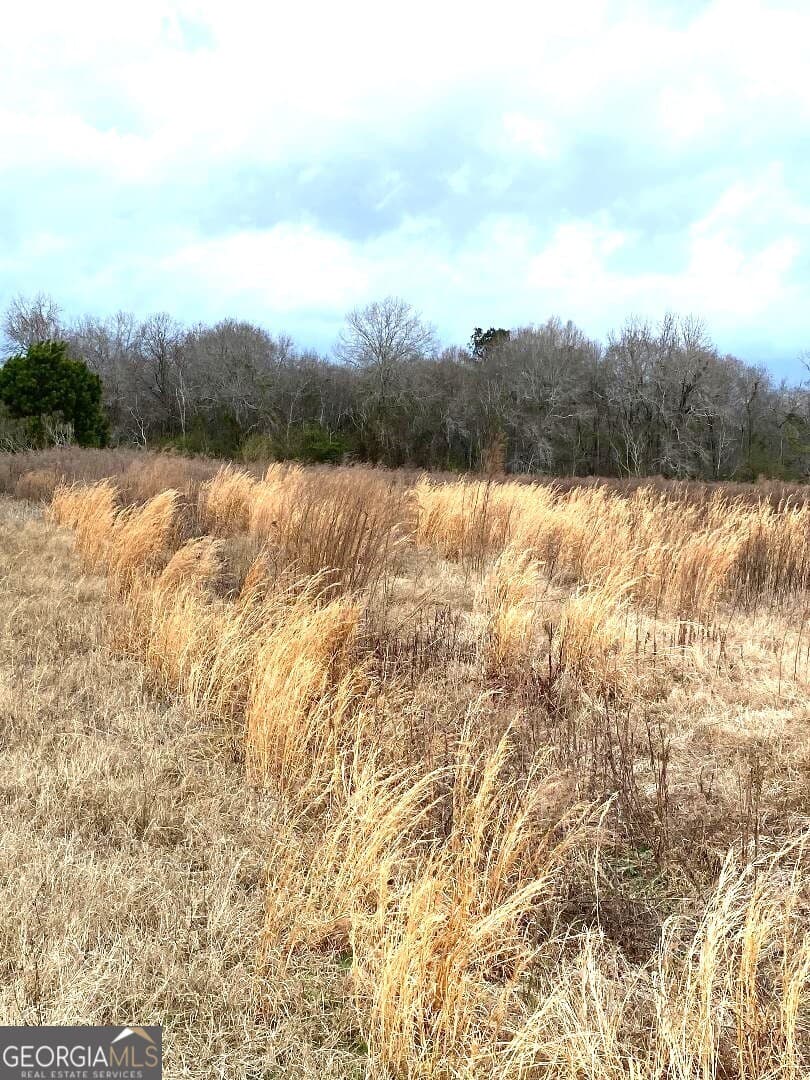 agriculture for sale at 0 Allen Ranch Road, Chester, GA 31012 — photo 3