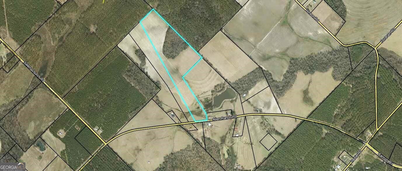 agriculture for sale at 0 Allen Ranch Road, Chester, GA 31012
