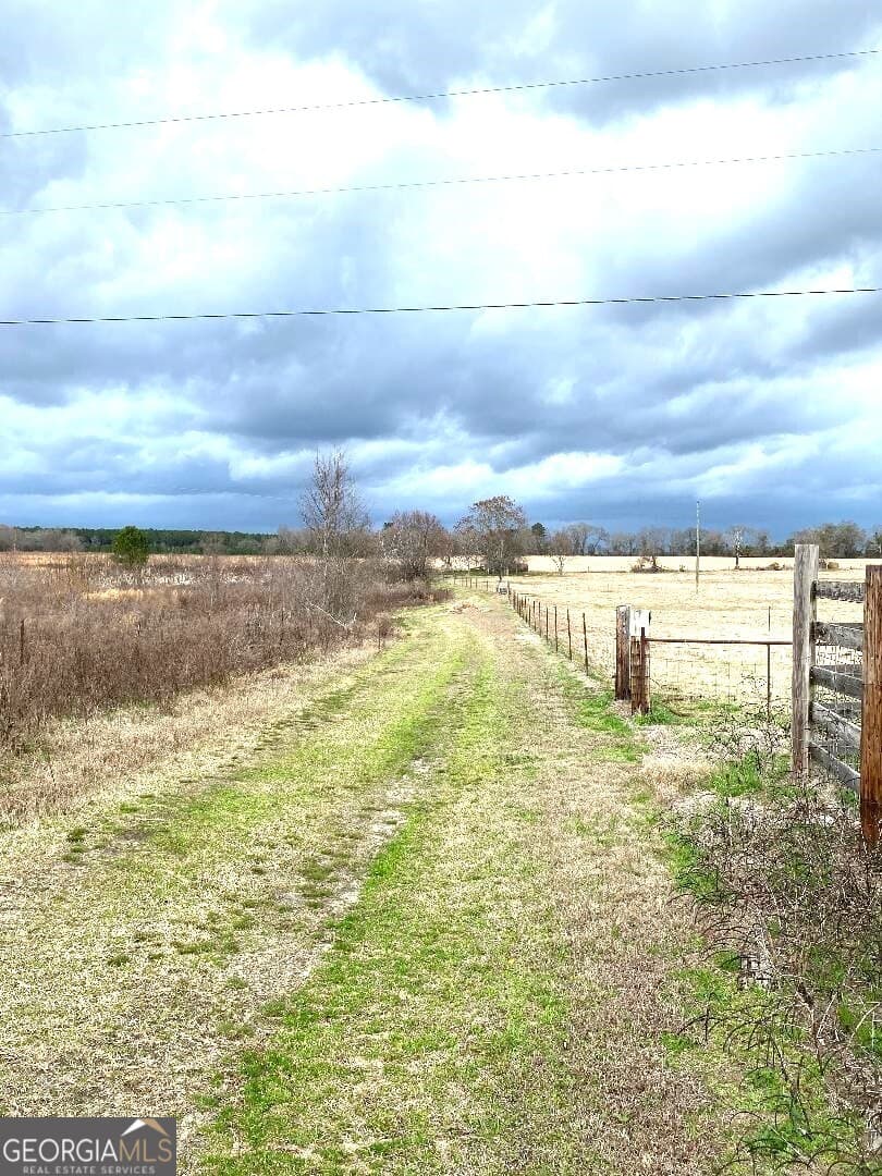 agriculture for sale at 0 Allen Ranch Road, Chester, GA 31012 — photo 5