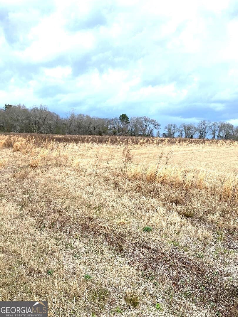 agriculture for sale at 0 Allen Ranch Road, Chester, GA 31012 — photo 4