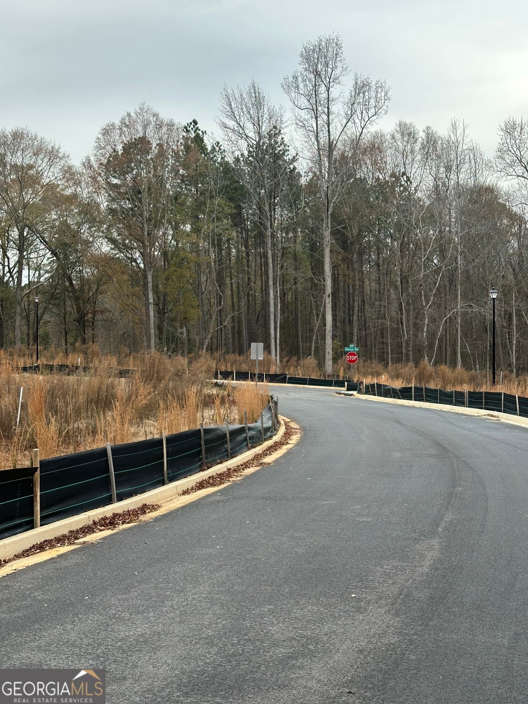 estate lot for sale at 120 EDMONSON Way, Stockbridge, GA 30281 — photo 6
