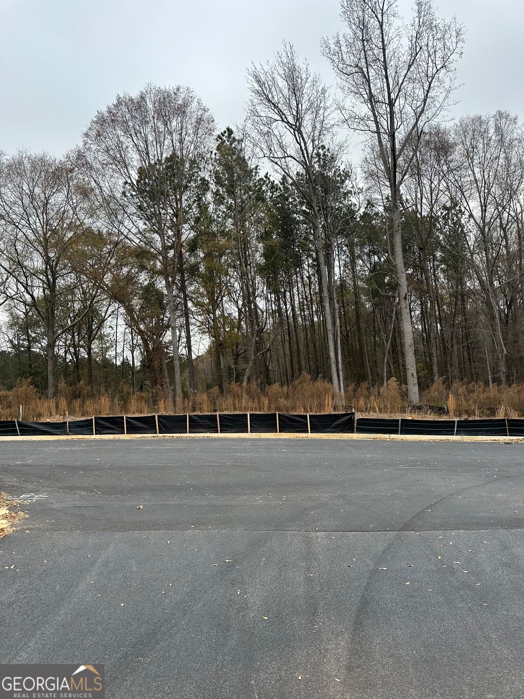 estate lot for sale at 120 EDMONSON Way, Stockbridge, GA 30281 — photo 7